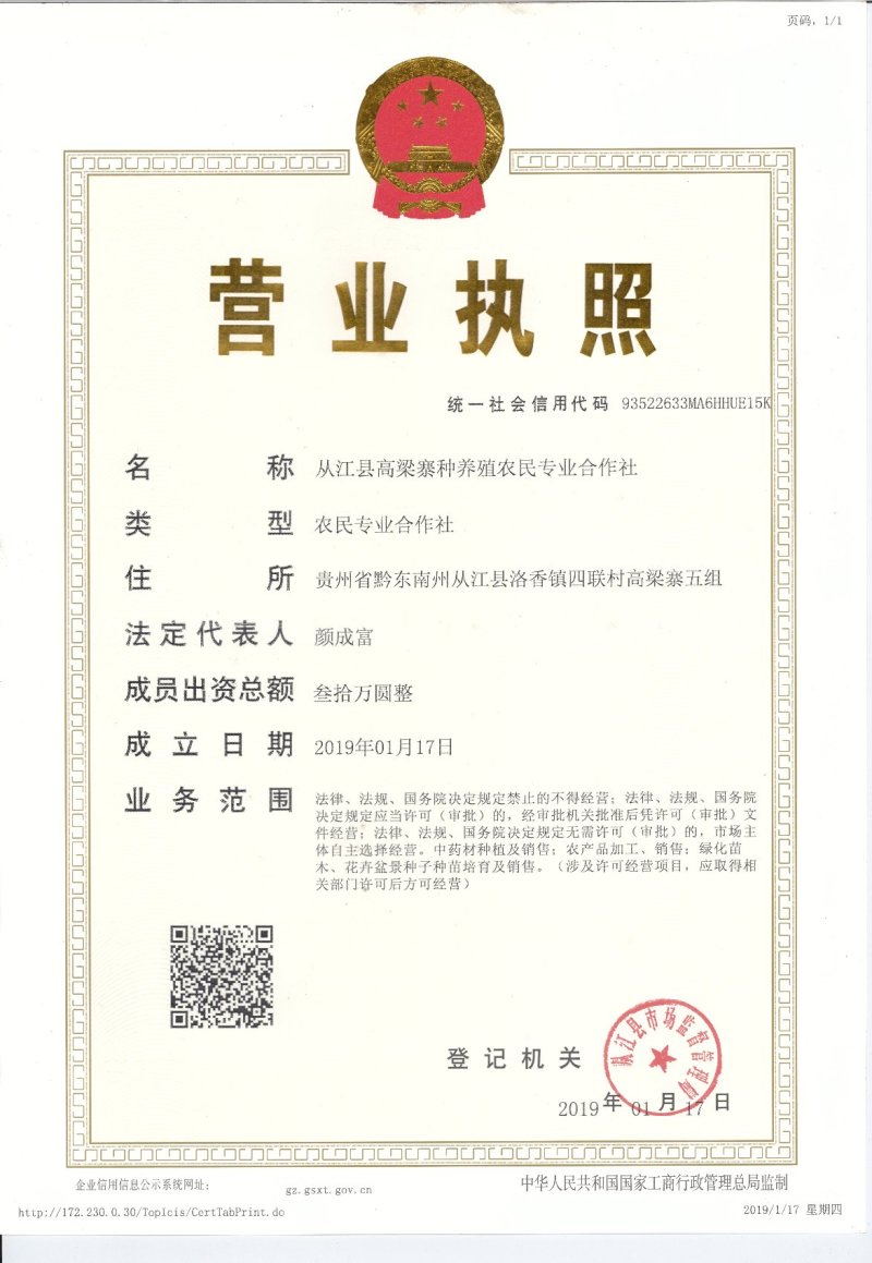 油茶籽贵州黔东南产地供应