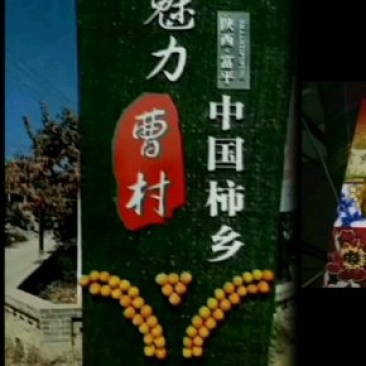 柿饼