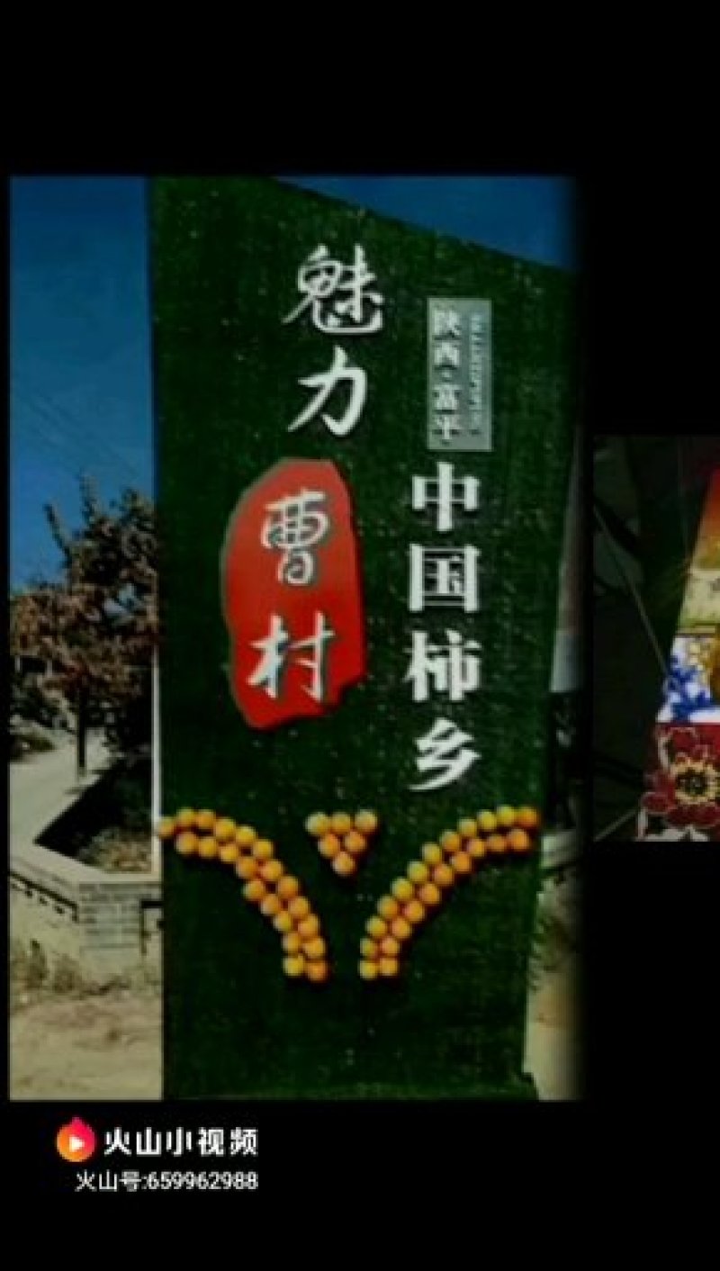 柿饼