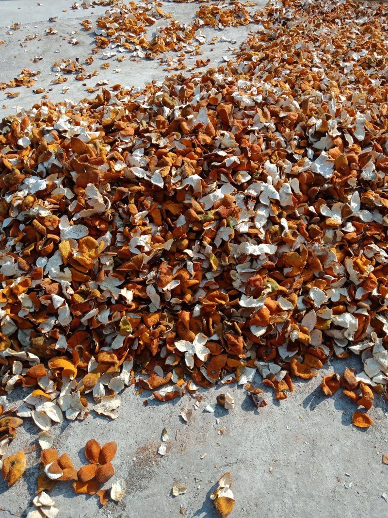 漂亮的陈皮个
