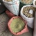 小茴香新鲜种子种籽非特级菜籽粉散装