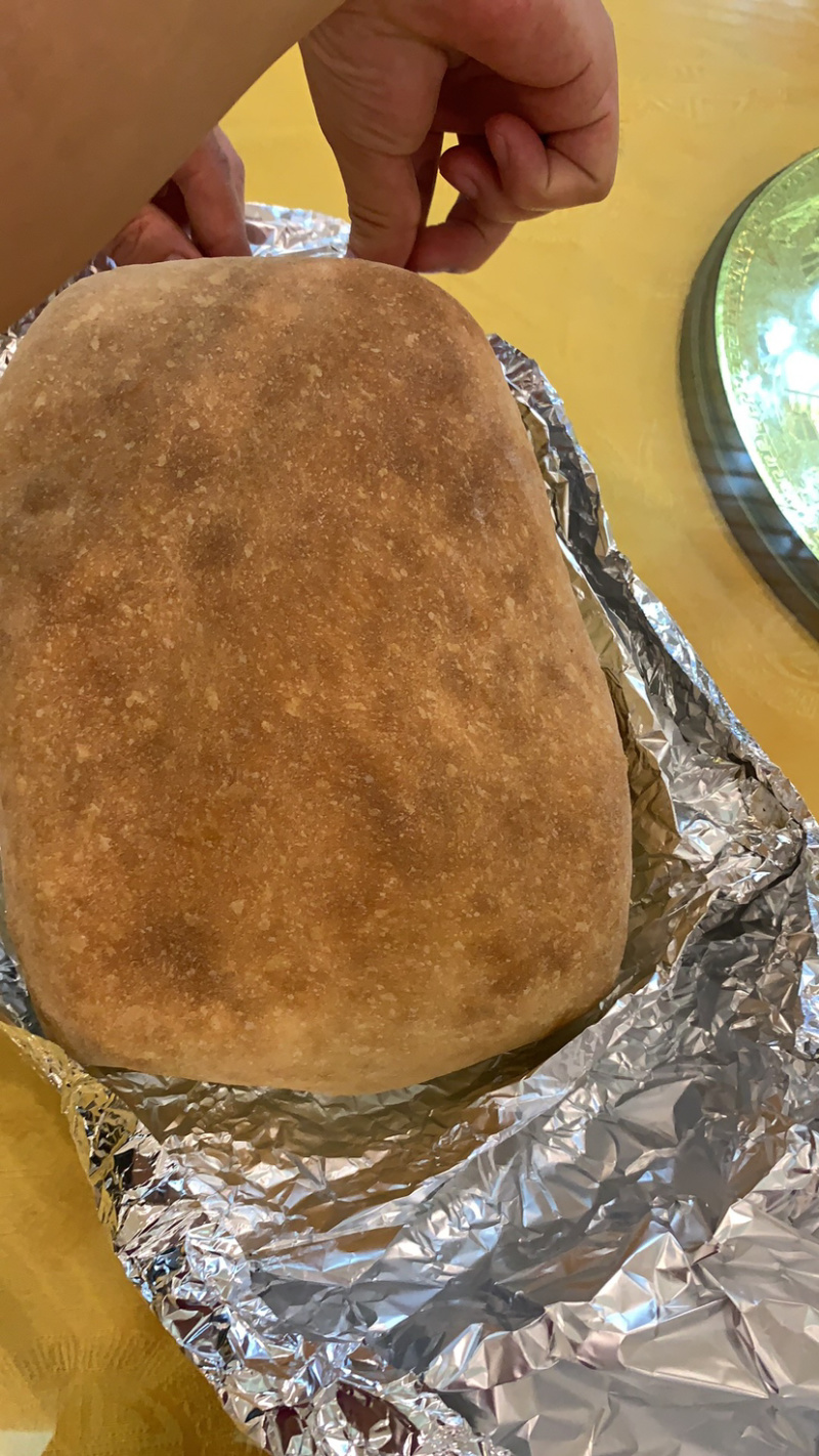 走地鸡订养100天专业供窖烤面包鸡对要求品质有的商家