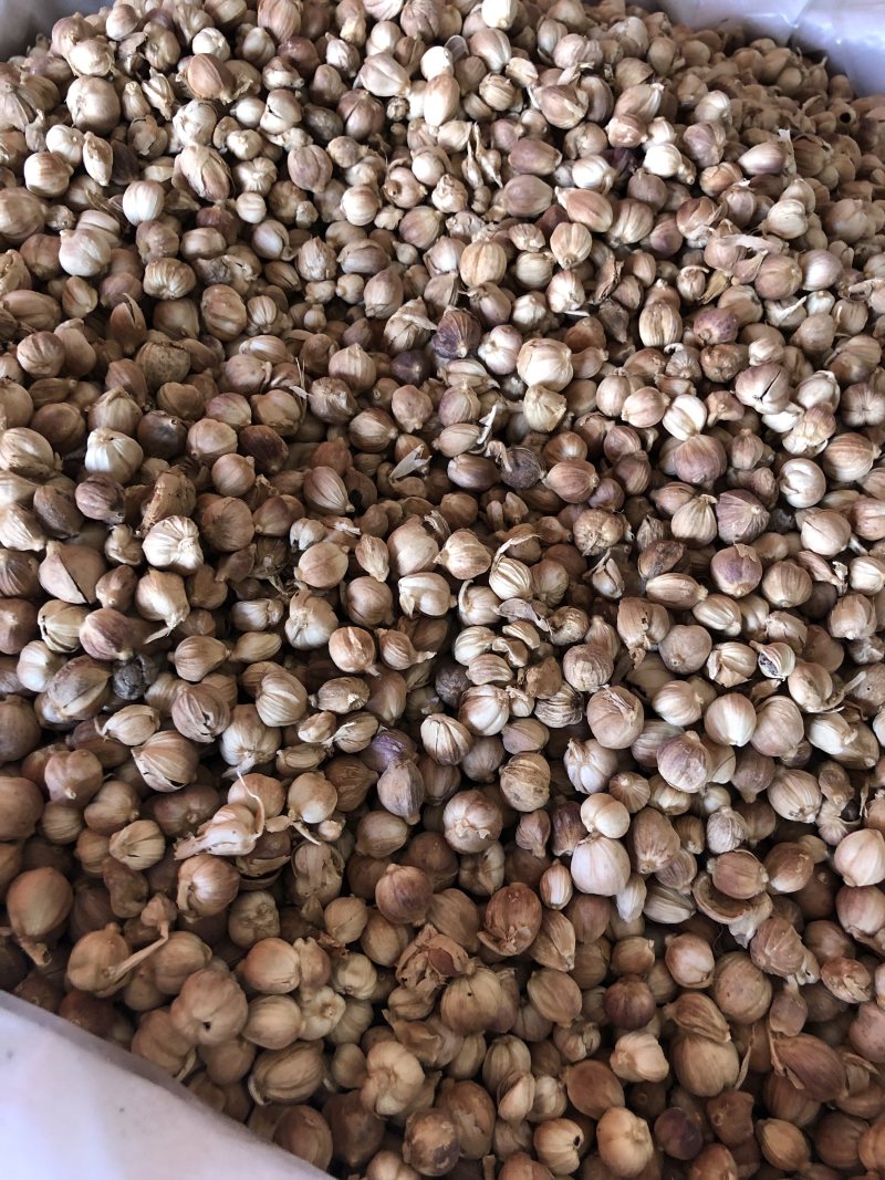 白蔻无硫火锅烧肉可打粉其他香料可供应好货