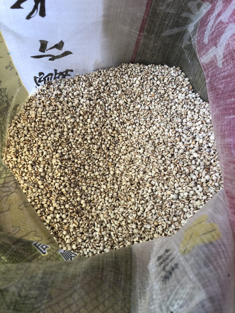 新货优质龙华金沙小薏米薏仁可祛湿