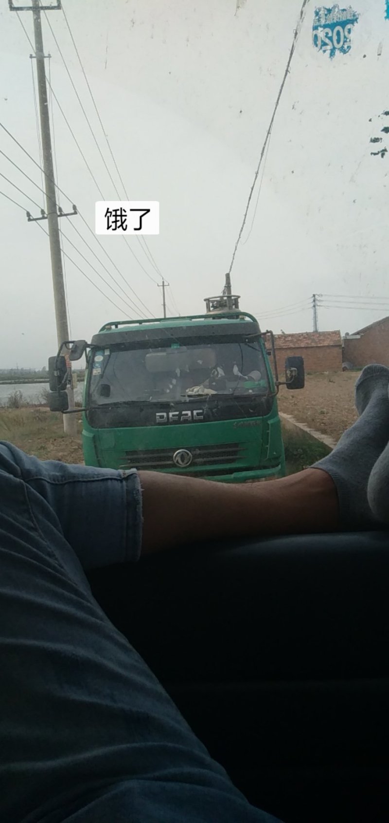 淡水鱼类