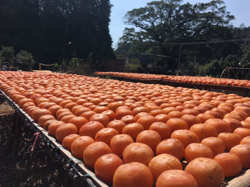 2019年龙岩永定纯天然晾晒手工柿饼