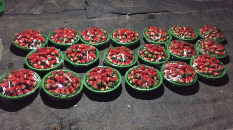 富平县草莓，大量精品草莓上市