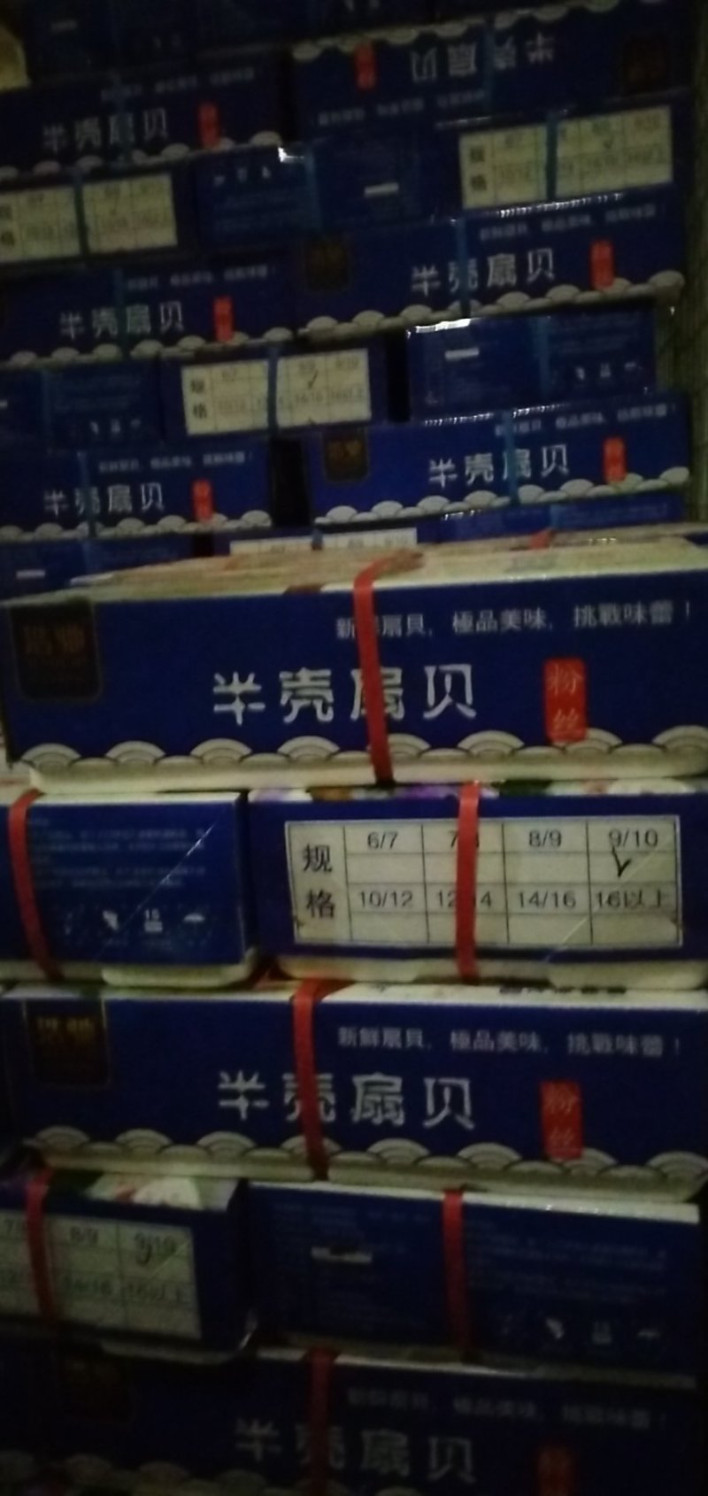 粉丝贝