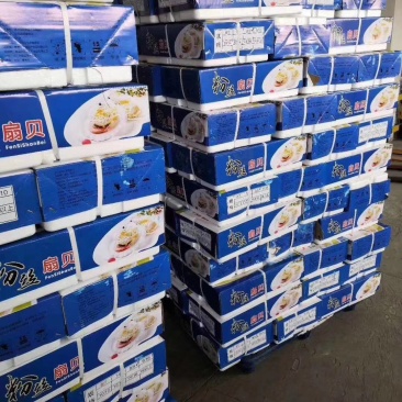 粉丝贝