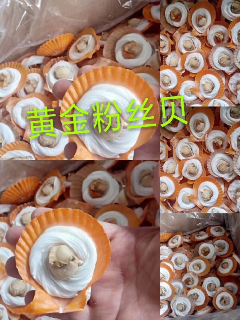 粉丝贝