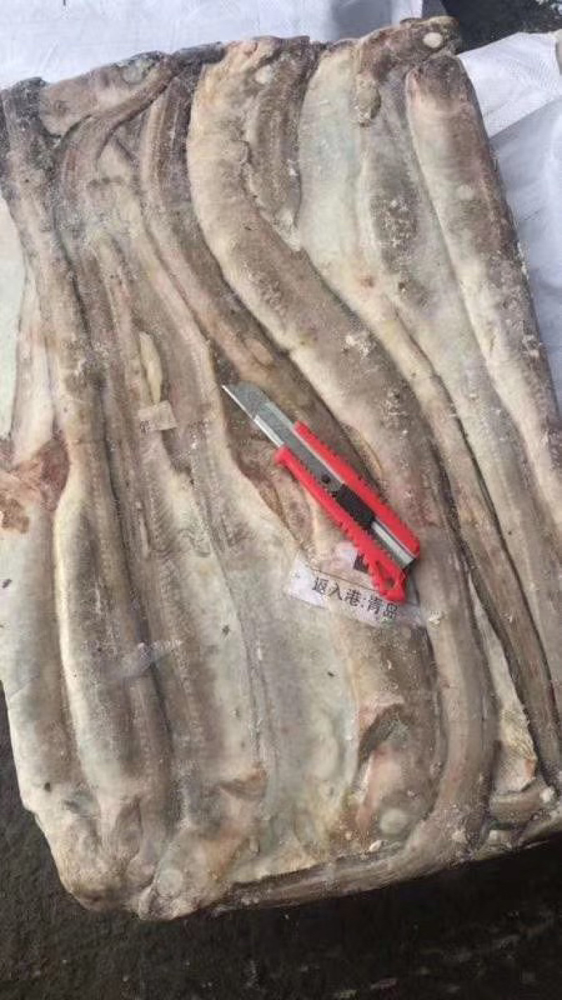 厂家直销鳗鱼原料量大价格便宜