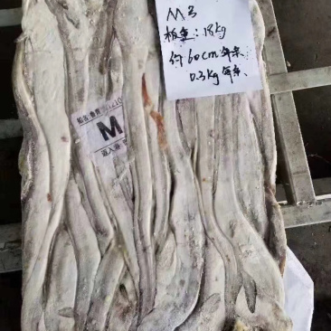 厂家直销鳗鱼原料量大价格便宜