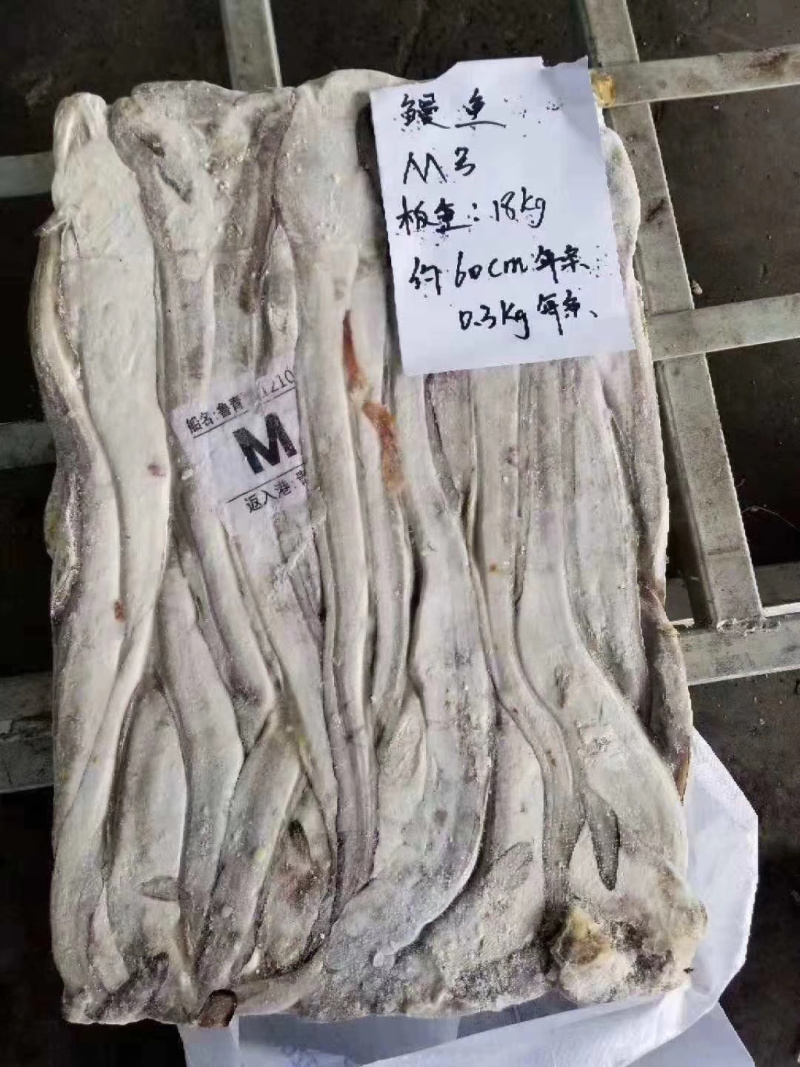 厂家直销鳗鱼原料量大价格便宜