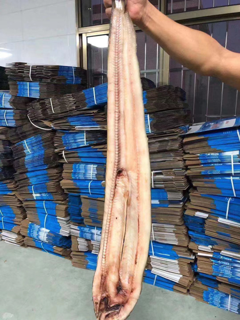 厂家直销鳗鱼原料量大价格便宜