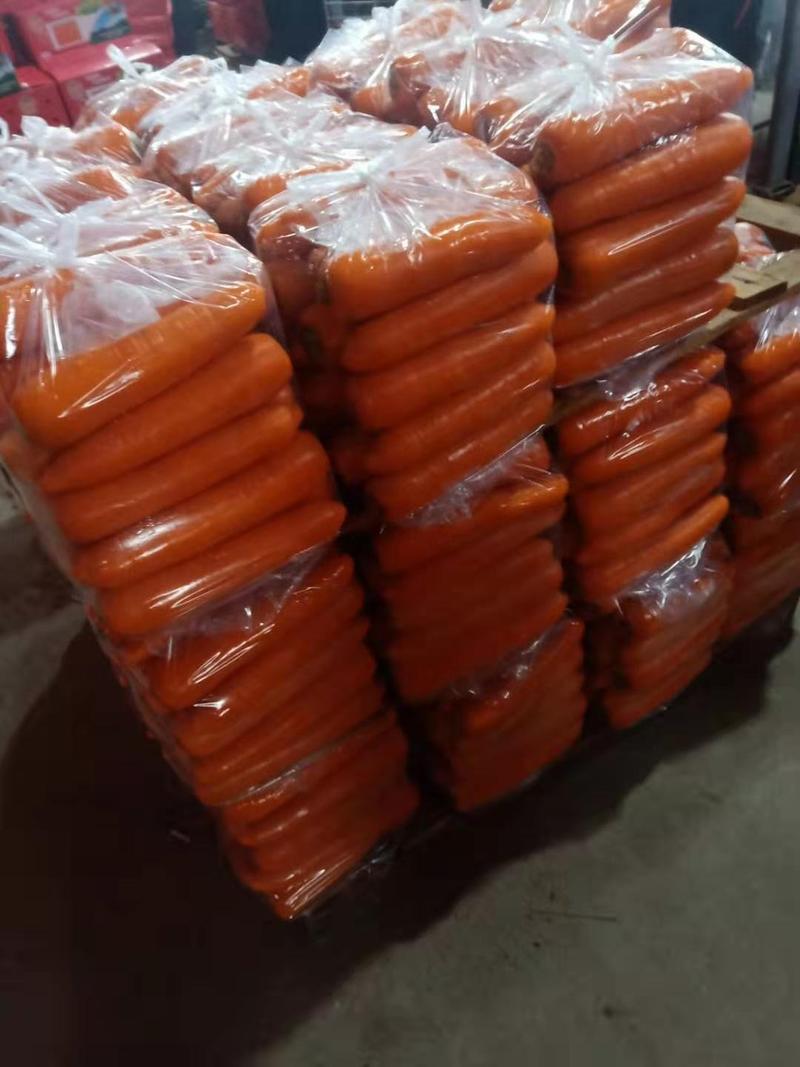 胡罗卜，三红胡萝卜，水洗、包装装车【一条龙服务】全国发货