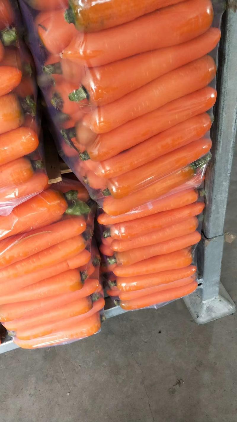 胡罗卜，三红胡萝卜，水洗、包装装车【一条龙服务】全国发货
