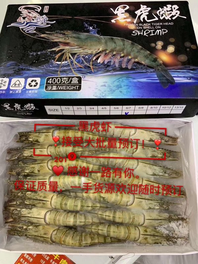 【野生越南黑虎虾】纯正支持验货常年供货