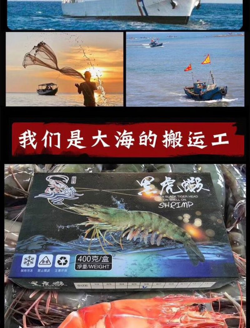 【野生越南黑虎虾】纯正支持验货常年供货