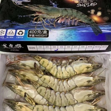 越南花虾大对虾海捕海鲜冷冻九节虾黑虎虾