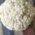 【精品】有机花，花菜，花椰菜，松花菜，万亩基地直销！
