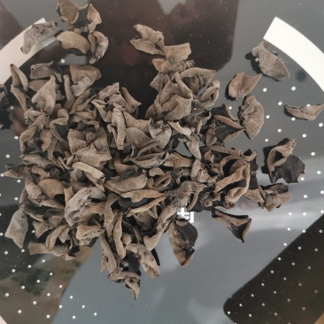 吉林桦甸产地批发东北秋木耳