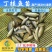 【热销推介】丁桂鱼鱼苗欧洲丁鱥鱼苗丁桂鱼水花效益高