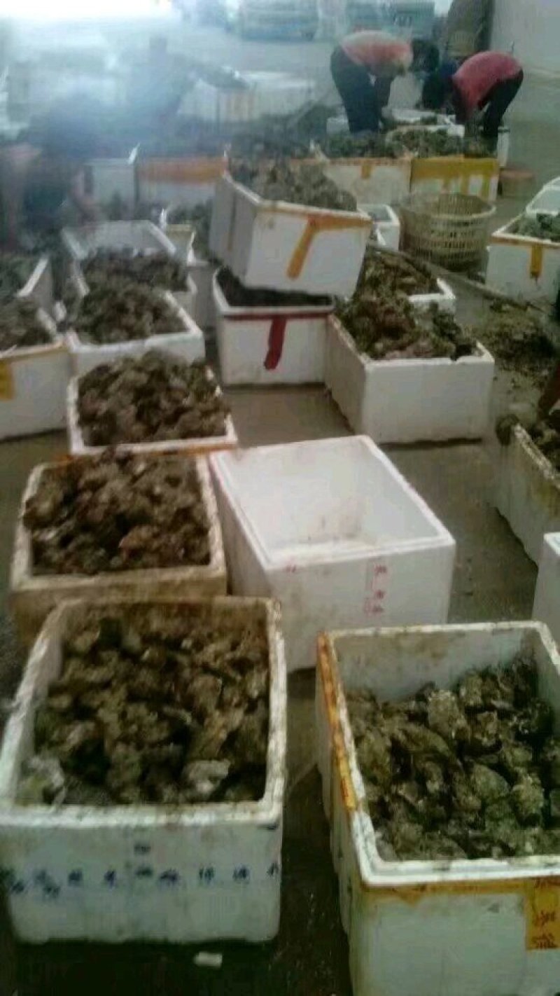 生批批发中心！！！！