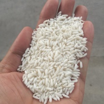 糯米又叫江米！圆糯米，长糯米所有商品不包邮！物流发货！