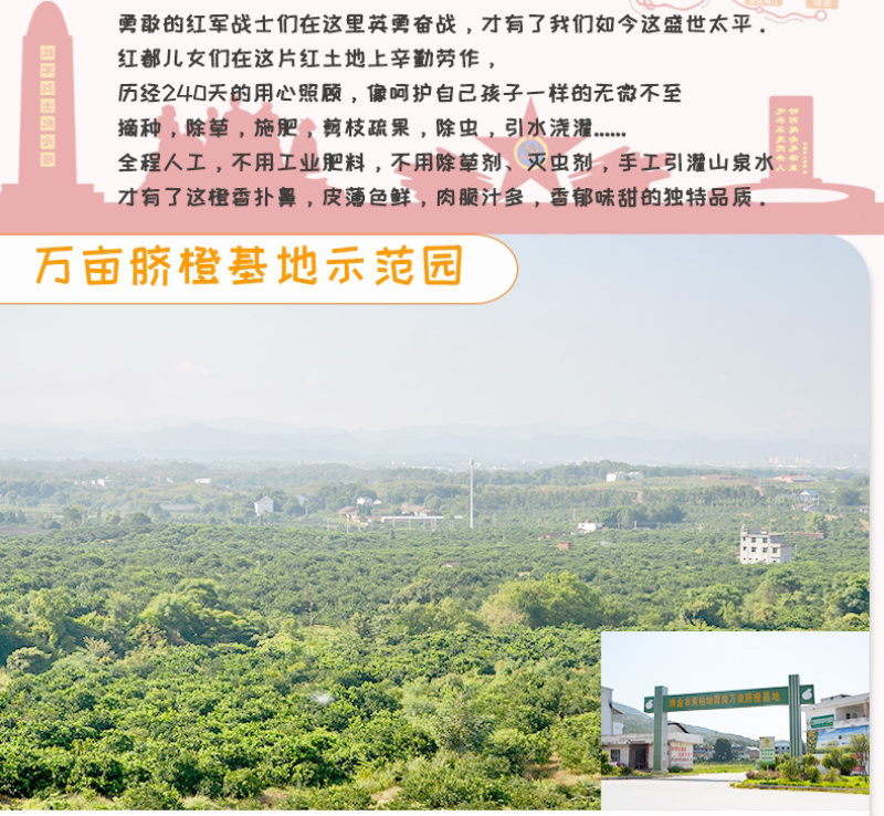 赣南脐橙过年不打烊休初一