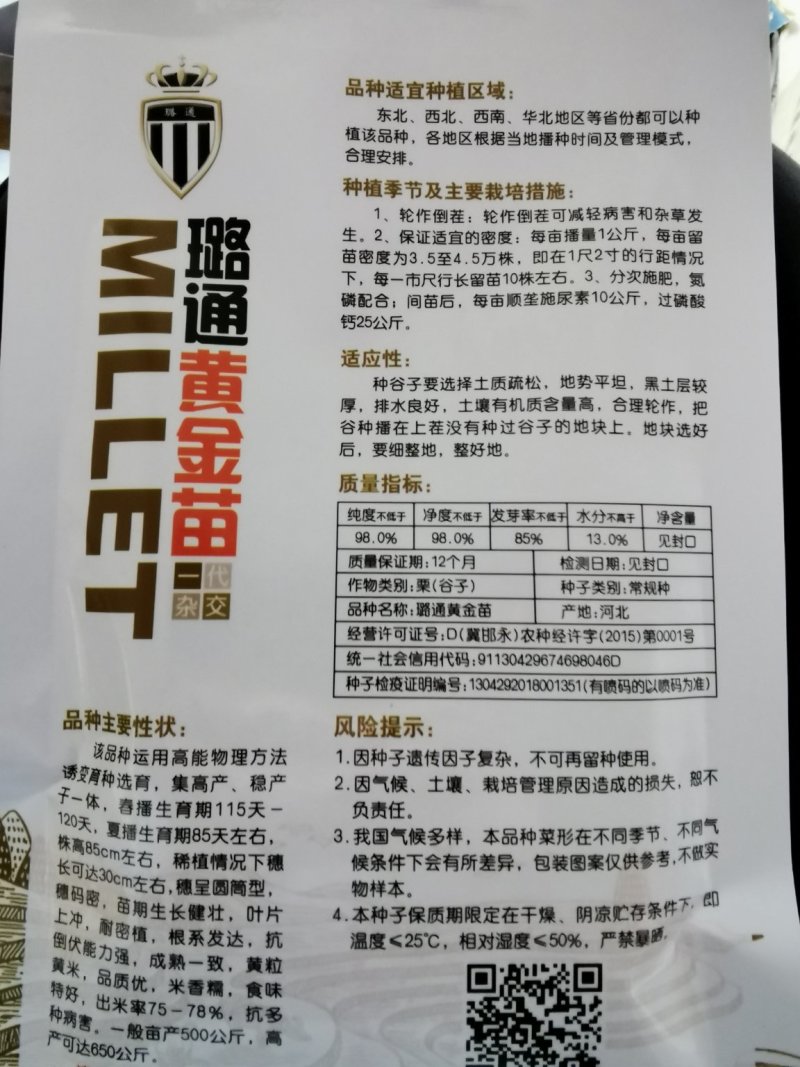 璐通黄金苗黄米黄谷高产抗倒伏优质谷种