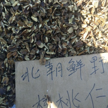 野生核桃仁