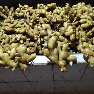 山东临沂市大姜常年大量供应，货源充足，全国发货