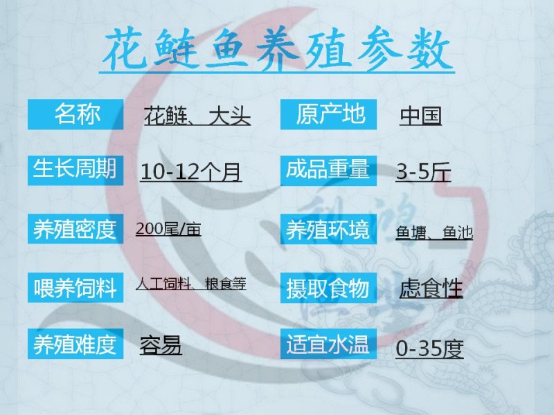 花鲢鱼苗优质大头鱼苗鳙鱼苗四大家鱼