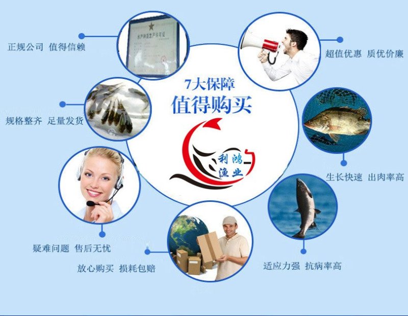 花鲢鱼苗优质大头鱼苗鳙鱼苗四大家鱼