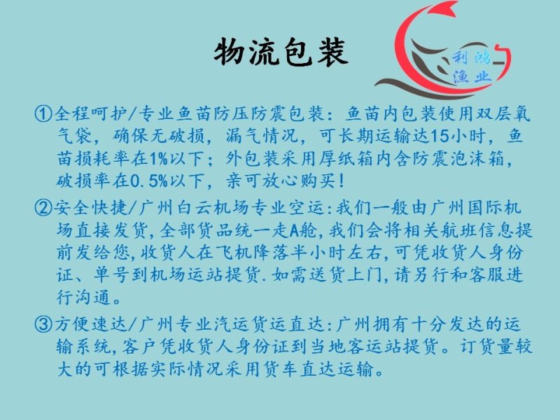 花鲢鱼苗优质大头鱼苗鳙鱼苗四大家鱼