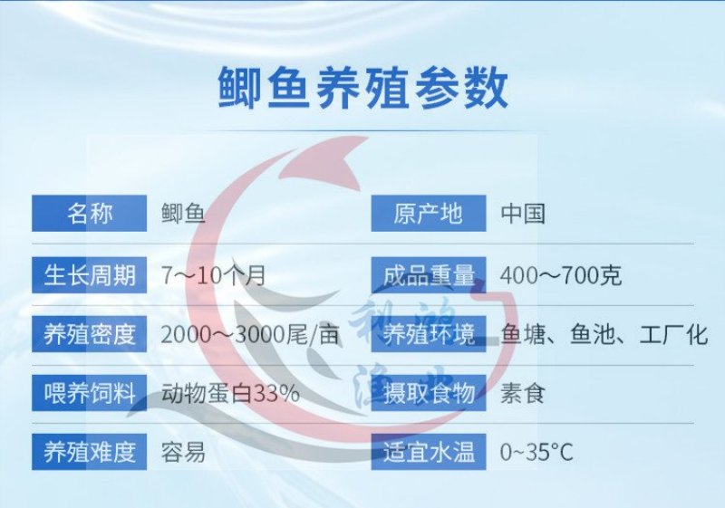 鲫鱼苗中科五号湘云鲫，异育银鲫全国包活发货