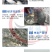 鲫鱼苗中科五号湘云鲫，异育银鲫全国包活发货