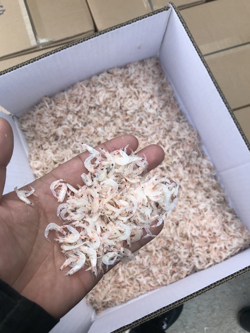 淡干虾皮