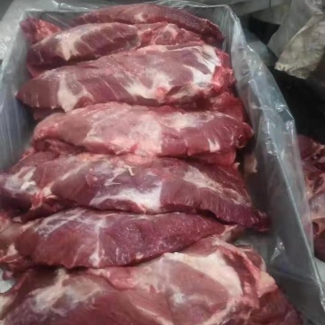 国产精修箱装1号肉大量有货