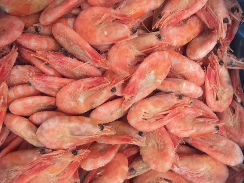 网红精品北极虾，3斤，5斤，10斤装