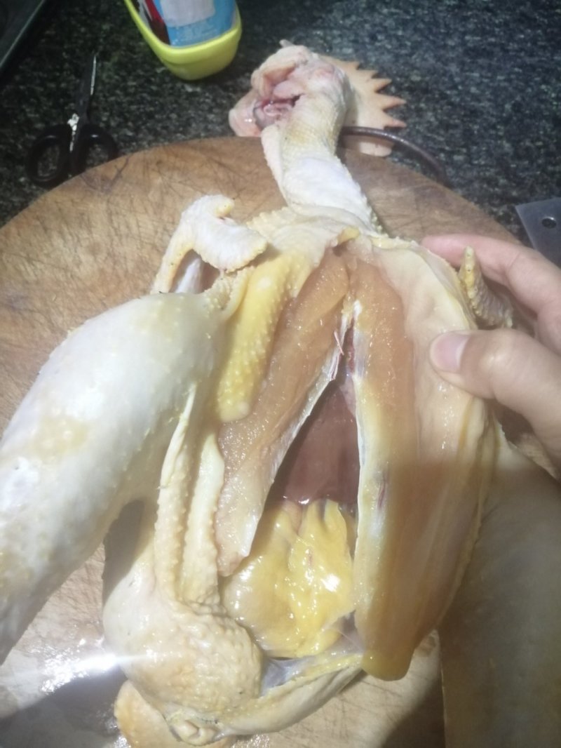 鸡，土鸡，散养生态鸡，白条鸡