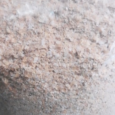 优质麦麸