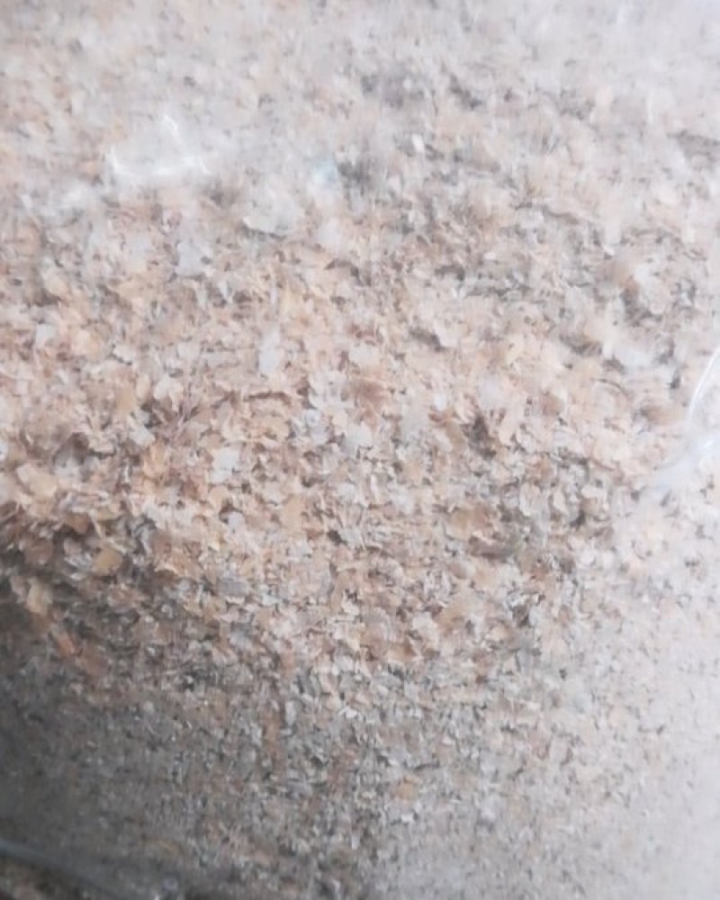 优质麦麸