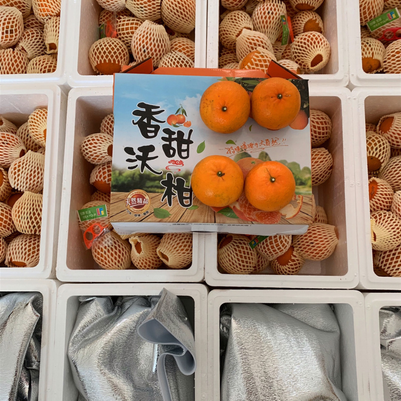 广西沃柑一件代发，电商微商团购代办，产地货源