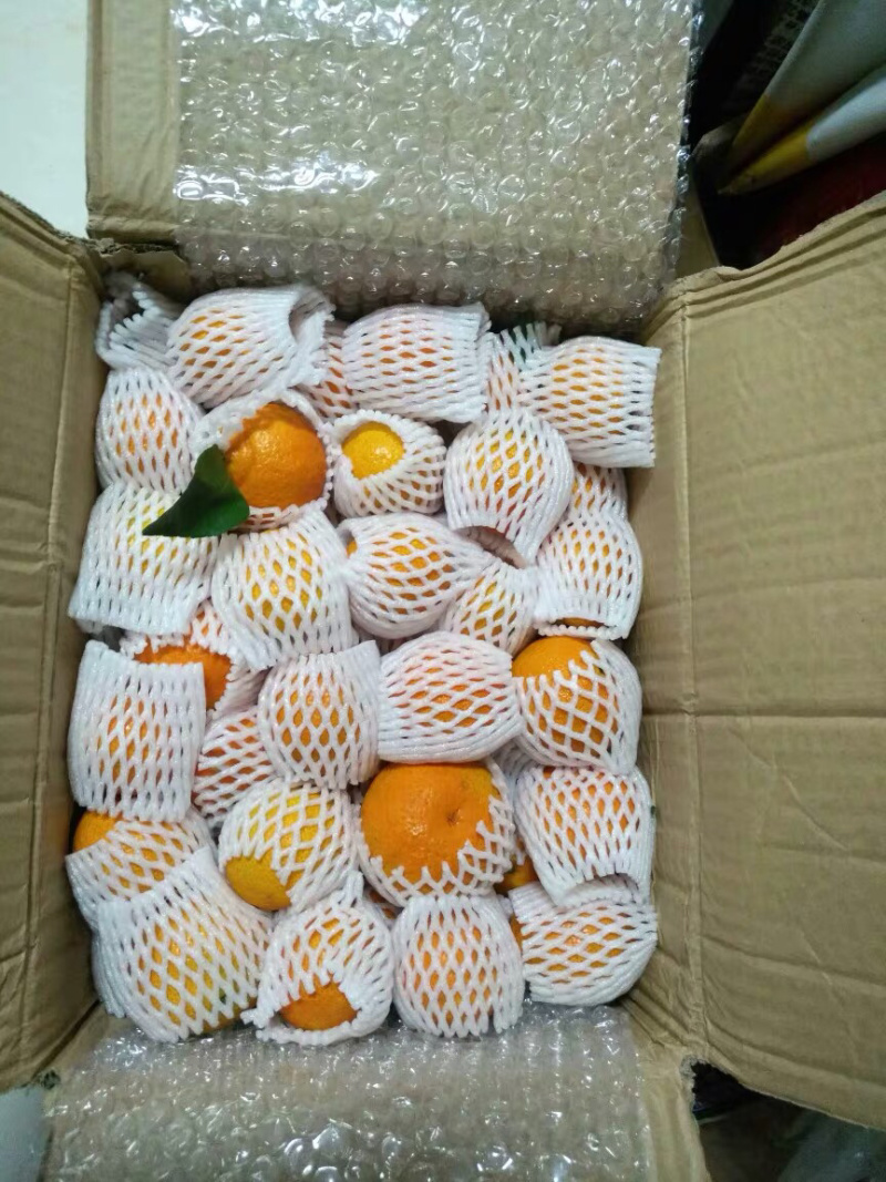 广西沃柑一件代发，电商微商团购代办，产地货源