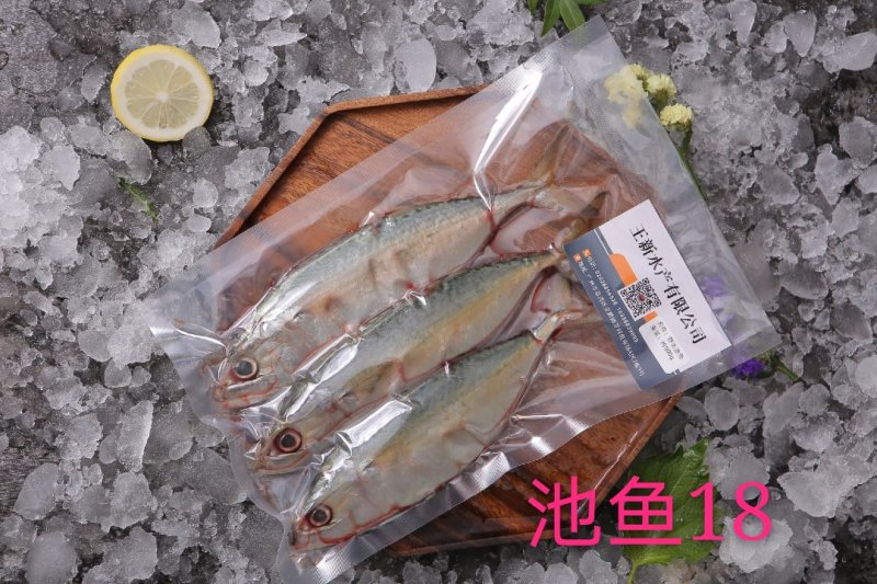 冰鲜野生池鱼