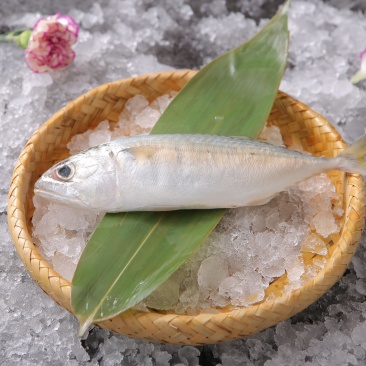 冰鲜野生池鱼