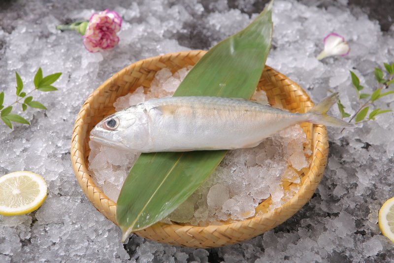 冰鲜野生池鱼
