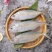 冰鲜野生池鱼