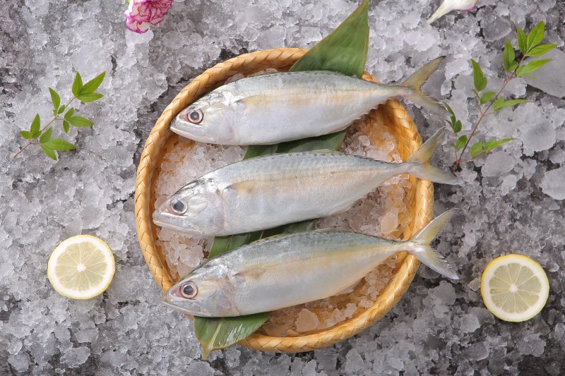 冰鲜野生池鱼